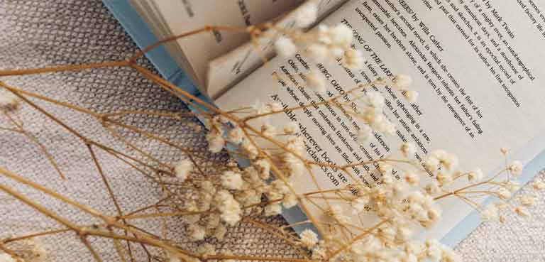 Aesthetic Science Blog website